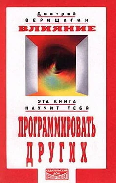 Дмитрий Верищагин Влияние обложка книги