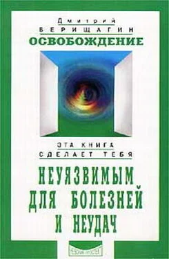 Дмитрий Верищагин Освобождение обложка книги