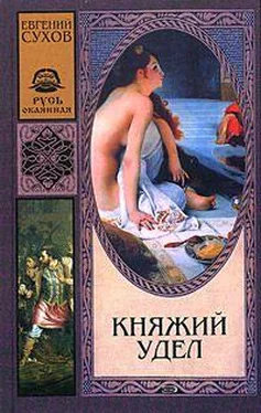 Евгений Сухов Княжий удел обложка книги