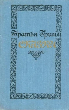 Якоб Гримм Сказки обложка книги