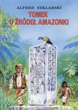 Alfred Szklarski Tomek u źródeł Amazonki обложка книги