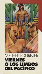 Michel Tournier - Viernes o Los limbos del Pacífico