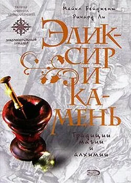 Майкл Бейджент Эликсир и камень обложка книги