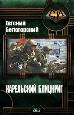 Евгений Белогорский Карельский блицкриг (СИ) обложка книги