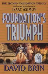 David Brin - Foundation’s Triumph