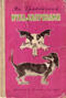 Ян Грабовский Муха с капризами (с илл.) обложка книги