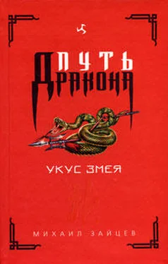 Михаил Зайцев Укус Змея обложка книги