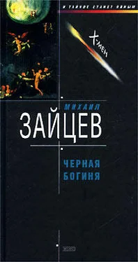 Михаил Зайцев Черная богиня обложка книги