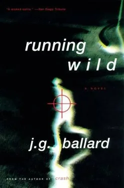 J. Ballard Running Wild обложка книги