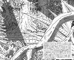 Jerry Oltion Jerry Olti - фото 2