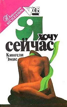 Кингсли Эмис Я хочу сейчас обложка книги