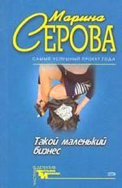 Марина Серова Такой маленький бизнес обложка книги