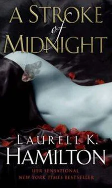 Лорел Гамильтон A Stroke Of Midnight обложка книги