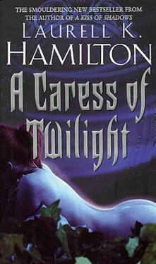 Лорел Гамильтон A Caress Of Twilight обложка книги