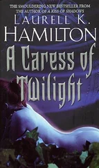 Лорел Гамильтон - A Caress Of Twilight