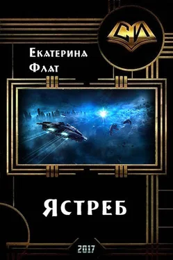 Екатерина Флат Ястреб (СИ) обложка книги