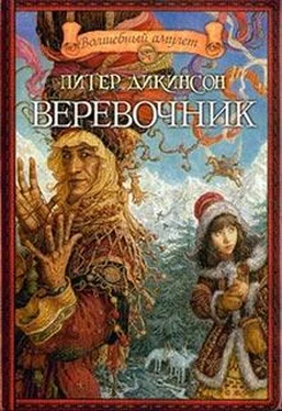 Питер Дикинсон Веревочник обложка книги