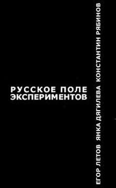 Егор Летов Русское поле экспериментов обложка книги