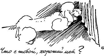 Тот кто хорошо знает свою собаку быстро обнаружит эти признаки не - фото 118