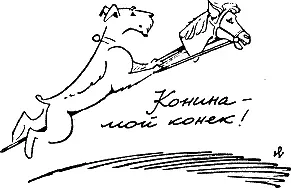 Конское мясо это ценный хорошо усваиваемый и дешевый корм не только для - фото 165