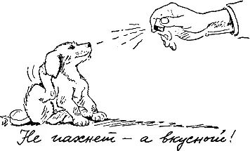 Как для человека так и для собаки сахар полезен так как способствует - фото 166