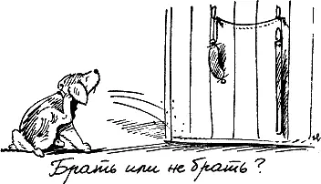 Если собака после слов осуждения выполнила вашу команду нужно сразу же - фото 210