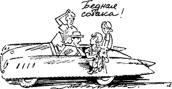 Не только щенок 90 но и любая взрослая собака в свою первую поездку должна - фото 243