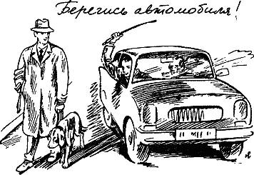 Попросите когонибудь из ваших знакомых чтобы во время вашей прогулки с - фото 249