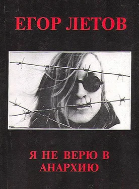 Егор Летов Я не верю в анархию (Сборник статей) обложка книги