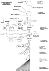 Зоя Зорина - Основные положения концепции Лоренца