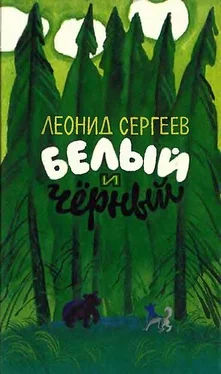 Леонид Сергеев Белый и чёрный (Рассказы) обложка книги