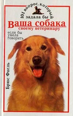 Брюс Фогль 101 вопрос, который задала бы ваша собака своему ветеринару (если бы умела говорить)