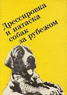 Ф. Грандерат Выращивание, воспитание, дрессировка и натаска охотничьей собаки за рубежом обложка книги
