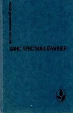 Ханс Браннер Огненные кони на белом снегу обложка книги