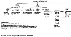 Стоунхендж и пирамиды Египта - фото 119