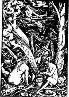 Антология Бич и молот. Охота на ведьм в XVI-XVIII веках (с иллюстрациями) обложка книги