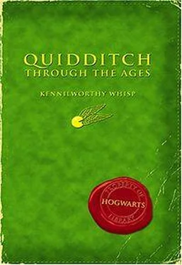 Джоан Роулинг Quidditch Through the Ages обложка книги