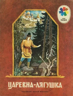 Русская Сказка Царевна-лягушка обложка книги