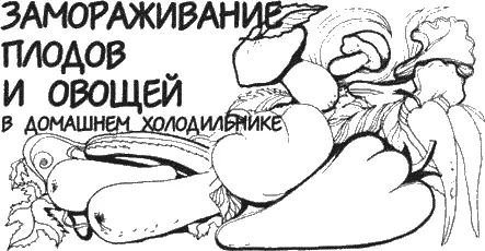 В домашних условиях можно замораживать плоды овощи и грибы в морозильных - фото 9