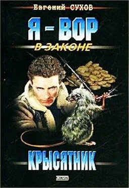 Евгений Сухов Крысятник обложка книги