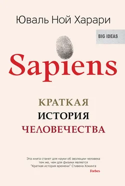 Юваль Ной Харари Sapiens. Краткая история человечества [litres] обложка книги