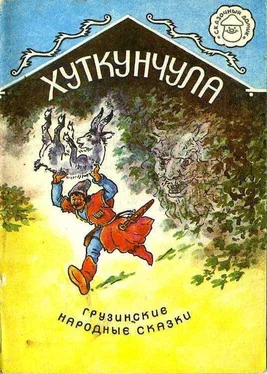 Грузинская Сказка Хуткунчула обложка книги