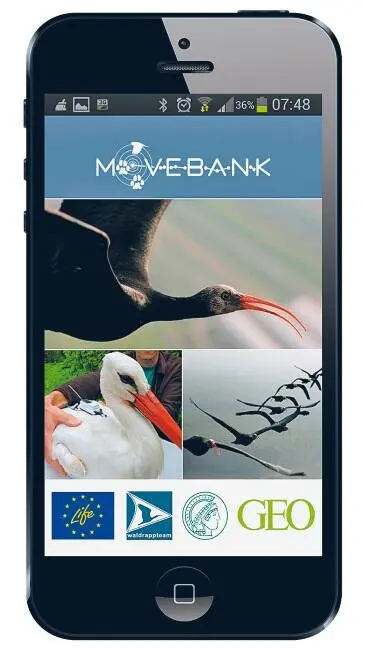 Приложение Animaltracker Летучие собаки Однако проблему человека и машины в - фото 6