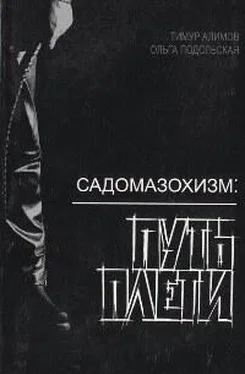 Тимур Алимов Садомазохизм: путь плети (с иллюстрациями) обложка книги