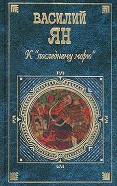 Василий Ян Юность полководца обложка книги