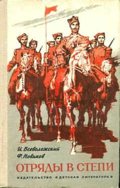 Игорь Всеволожский Отряды в степи [Повесть] обложка книги