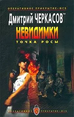 Дмитрий Черкасов Точка росы обложка книги