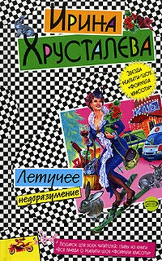 Ирина Хрусталева Летучее недоразумение обложка книги