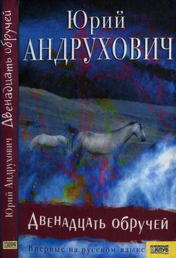 Юрий Андрухович Двенадцать обручей обложка книги