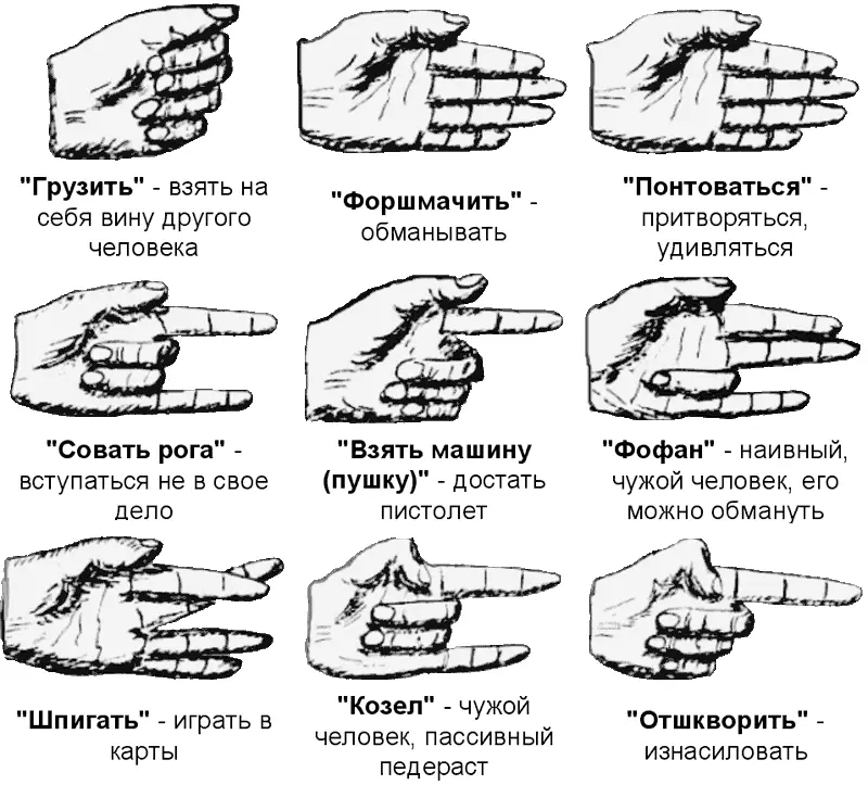 Примечание Сведения получены в ходе доверительных бесед с членами одной - фото 32